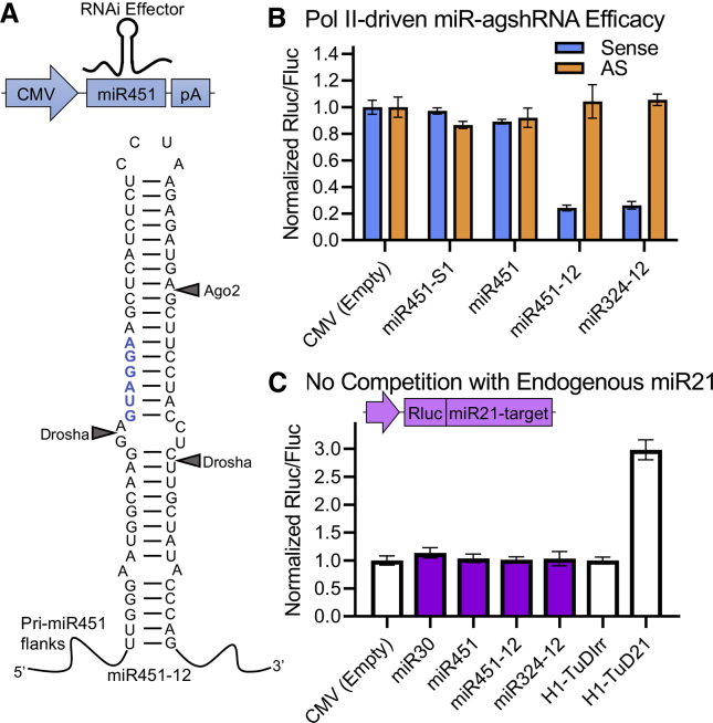 Figure 2