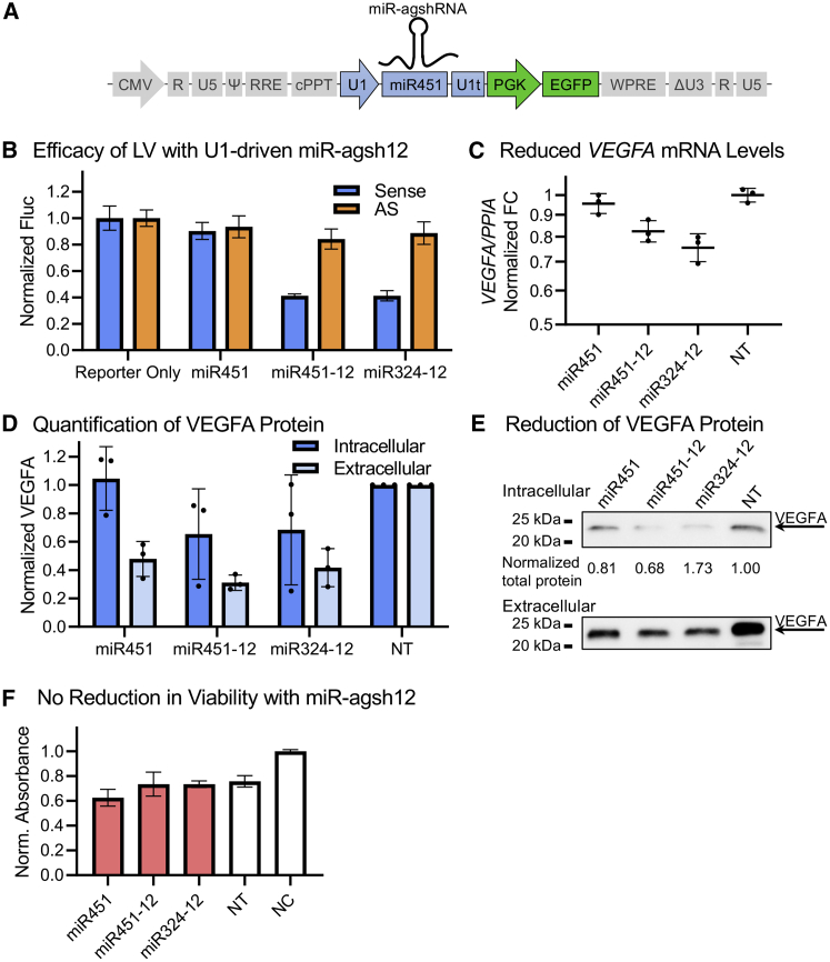 Figure 4