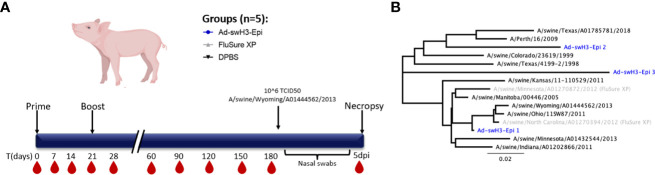 Figure 1