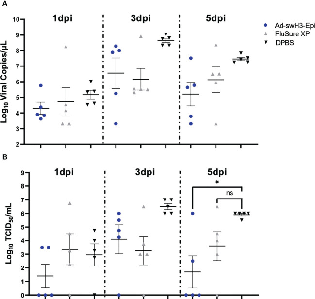 Figure 5