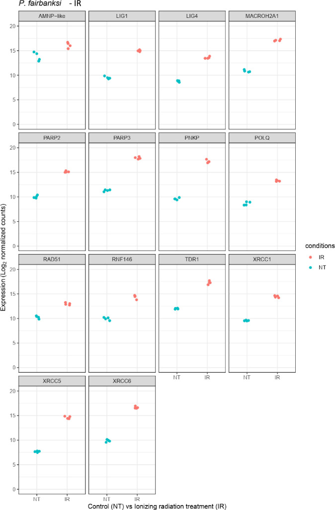 Figure 4—figure supplement 4.