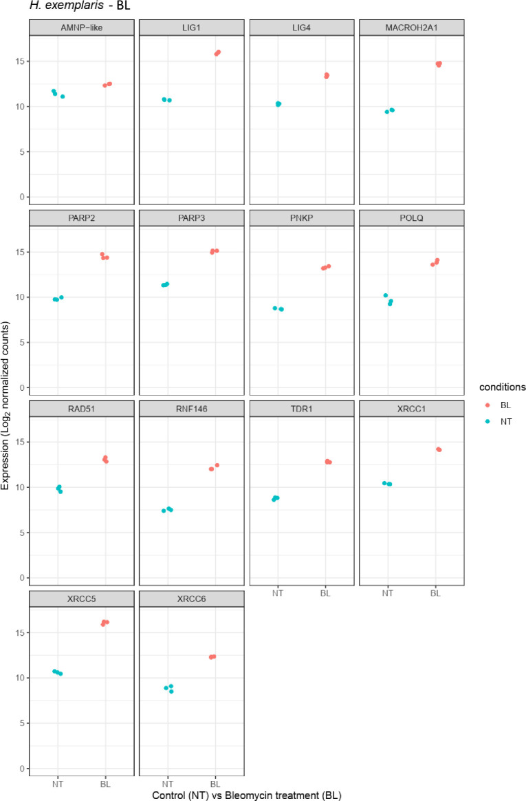 Figure 2—figure supplement 4.