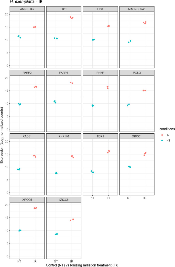 Figure 2—figure supplement 3.