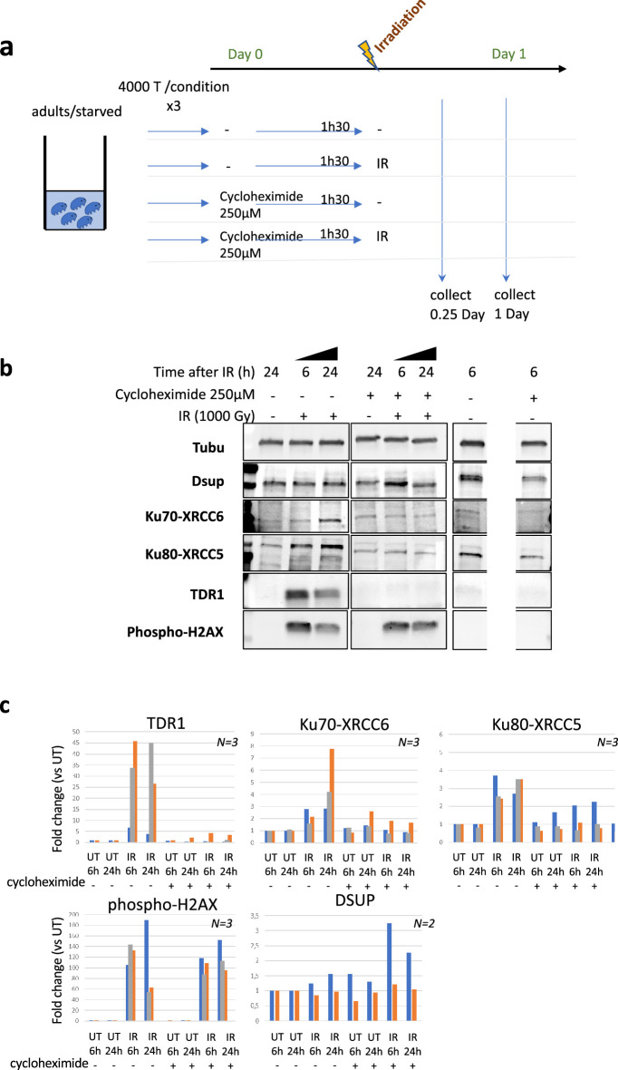 Figure 3—figure supplement 2.