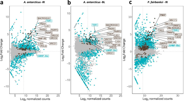 Figure 4—figure supplement 1.