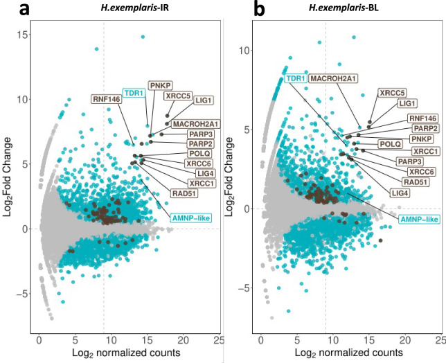 Figure 2—figure supplement 1.