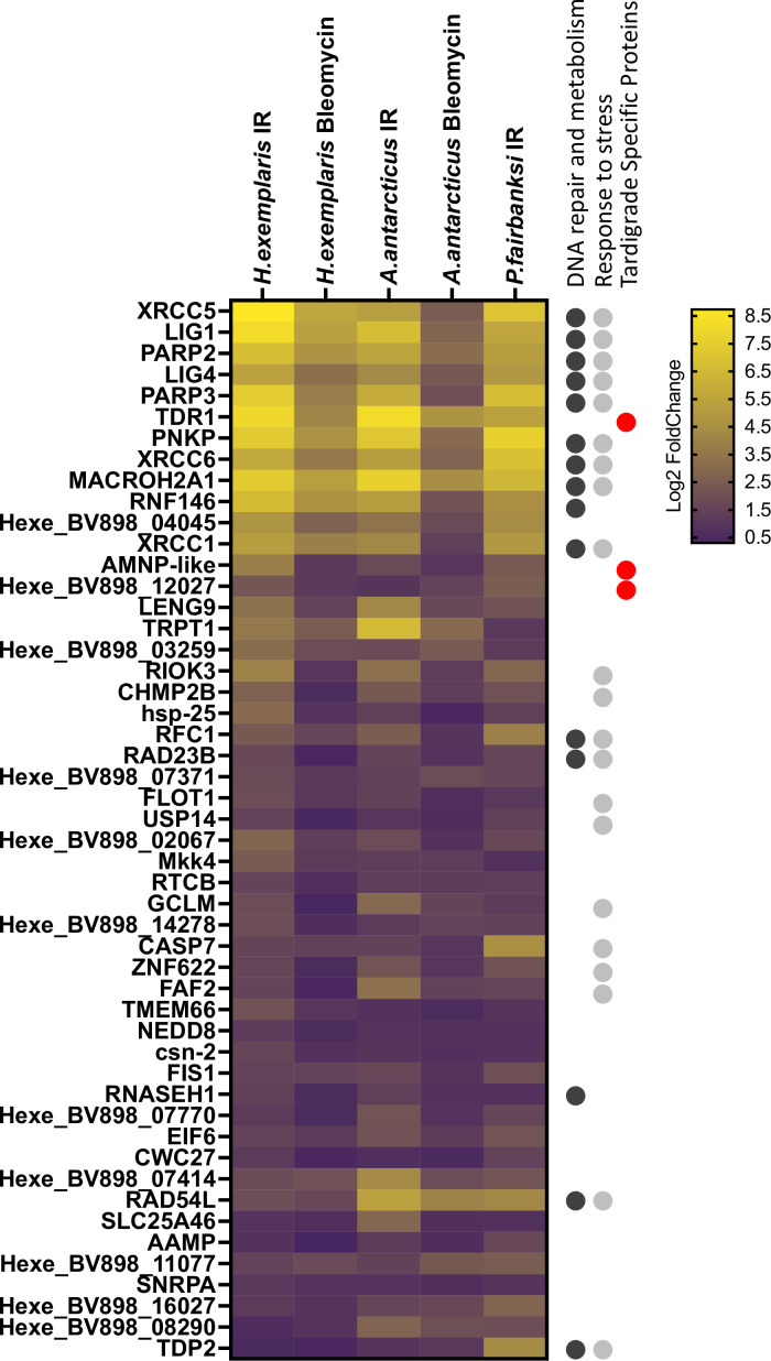 Figure 4—figure supplement 5.