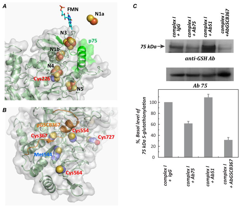 FIGURE 4