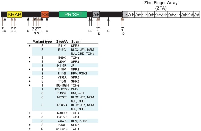 Figure 1.