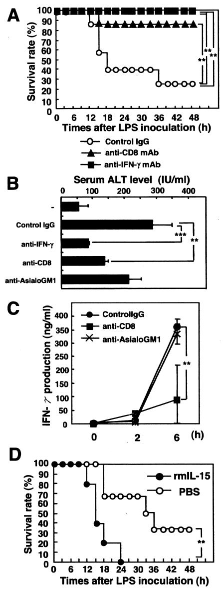 FIG. 5.