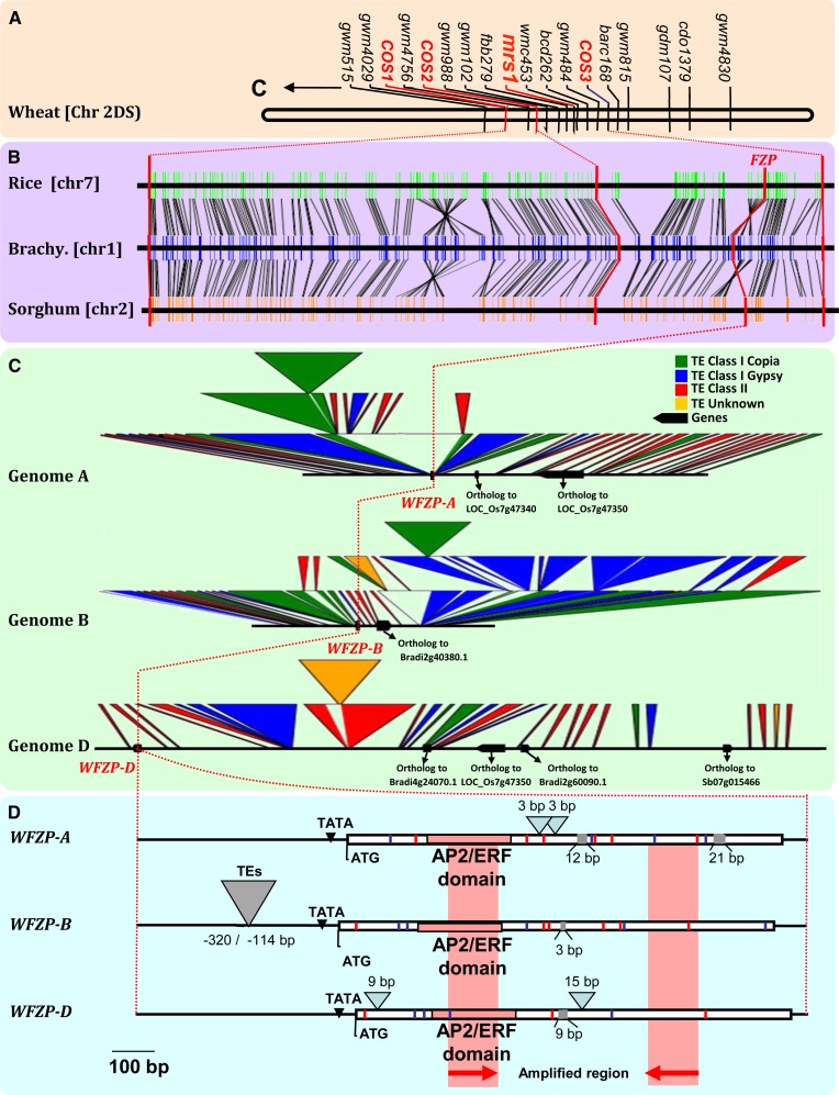 Figure 2.