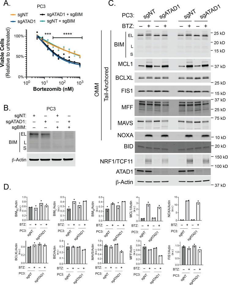 Figure 3—figure supplement 4.