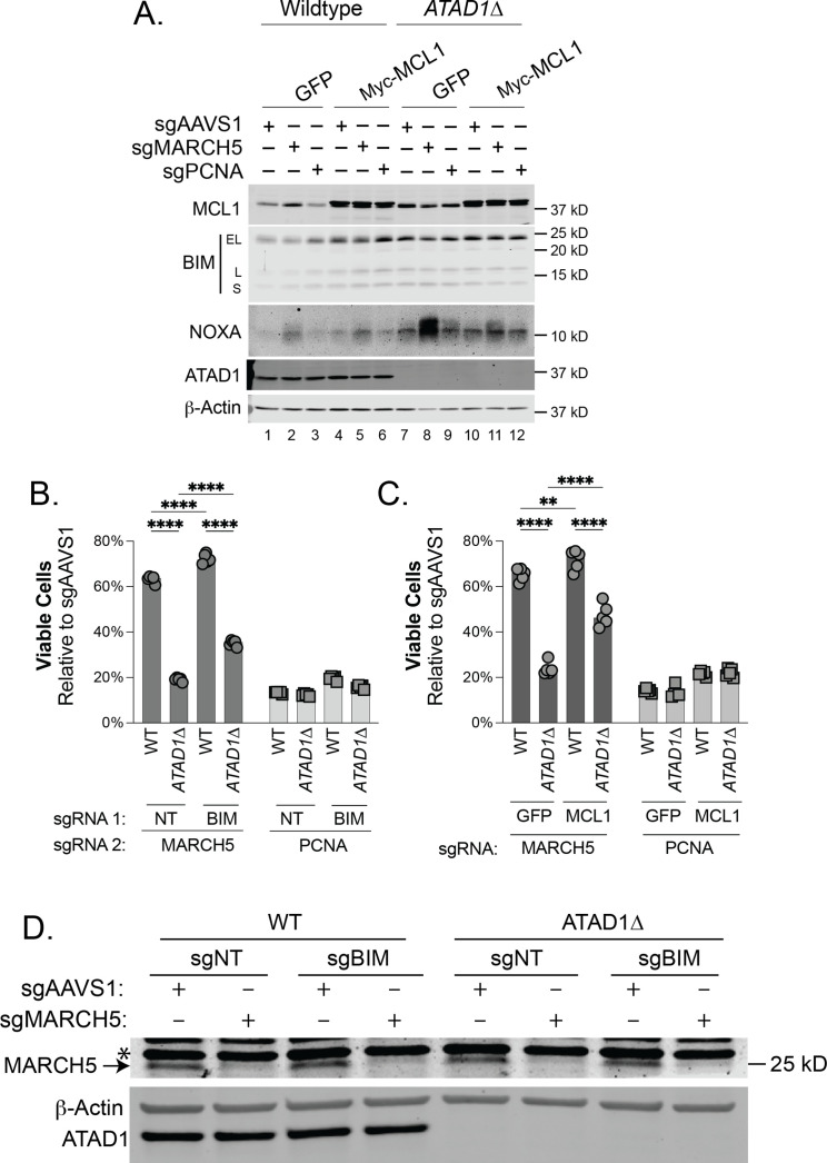 Figure 2—figure supplement 2.