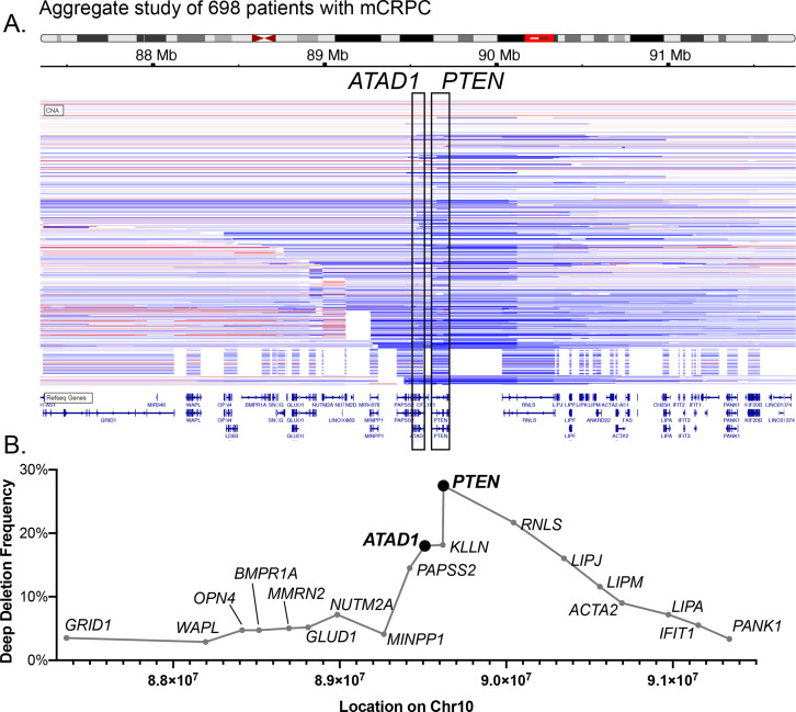 Figure 1—figure supplement 2.