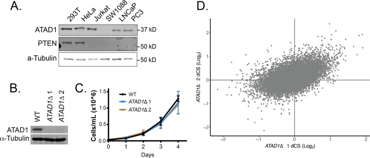 Figure 1—figure supplement 3.