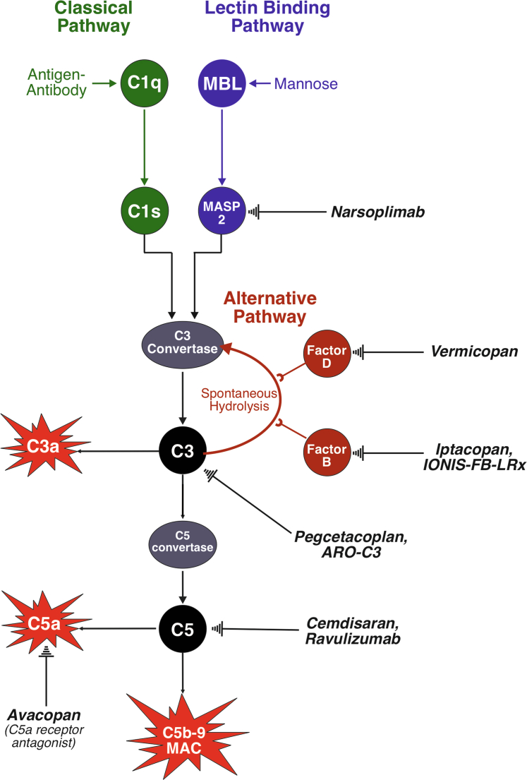 Figure 2