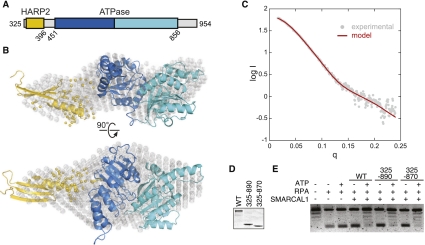 Figure 5.