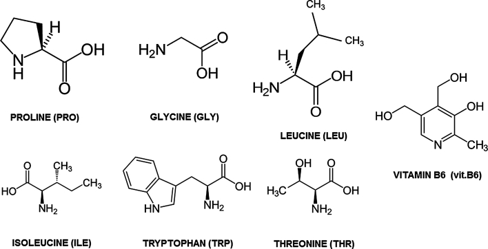 Fig. 1