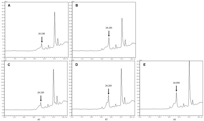 FIGURE 4