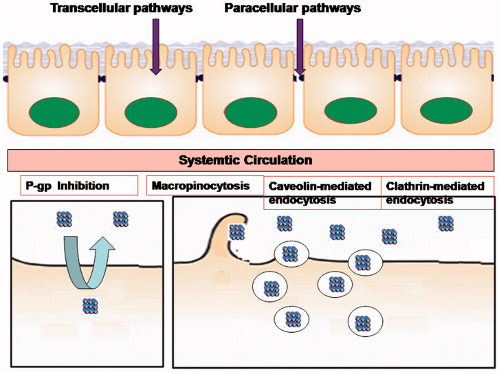 Figure 2.