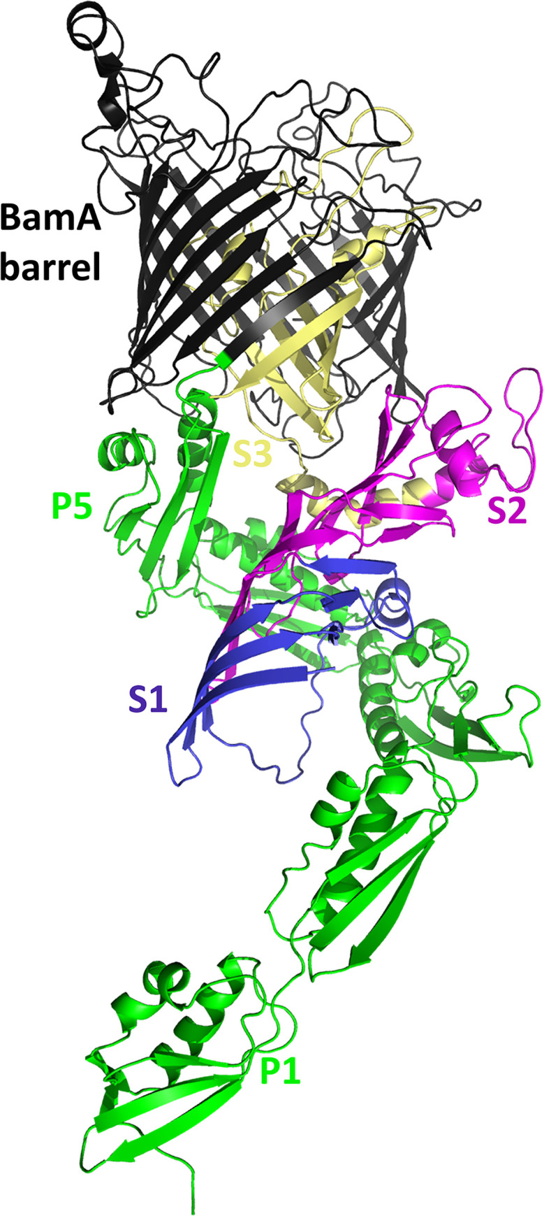 Fig 2