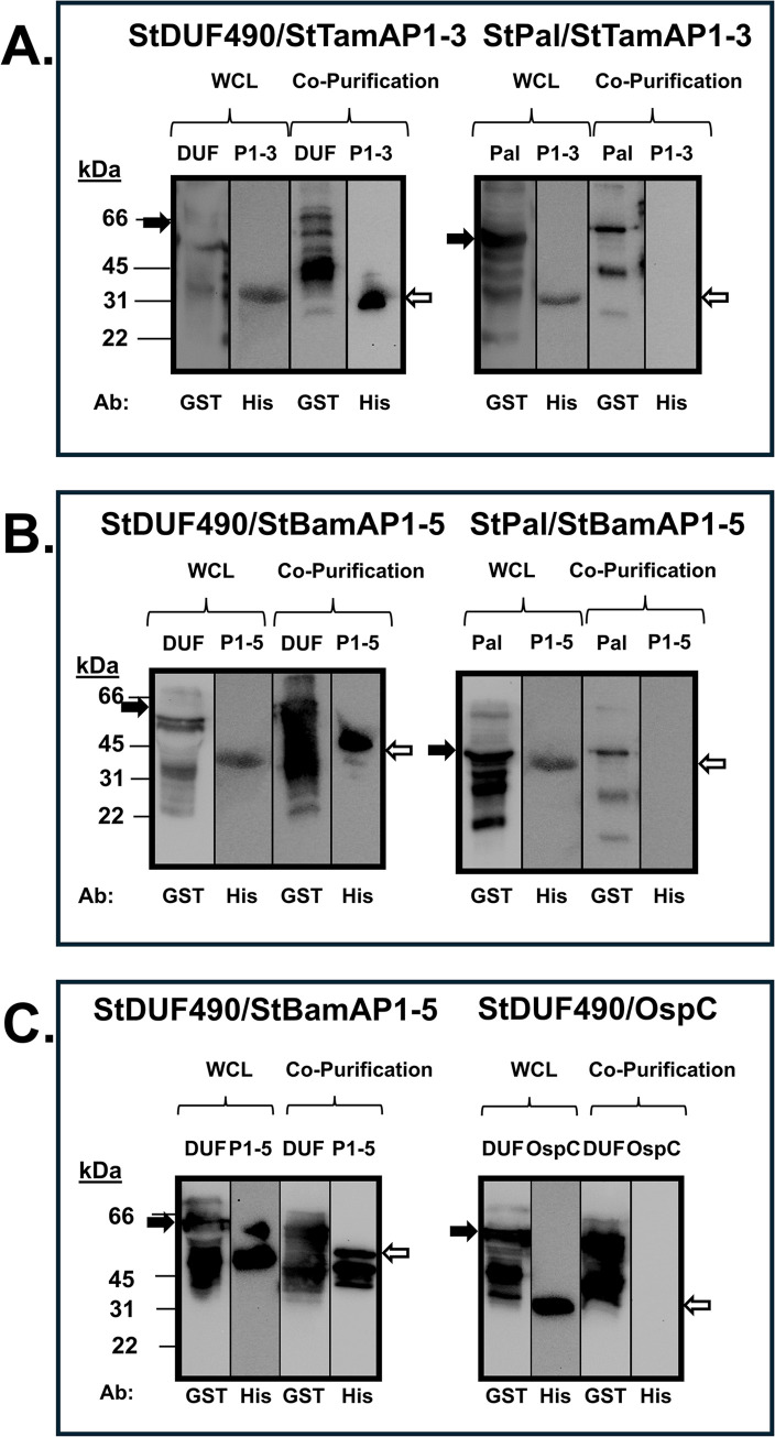 Fig 8