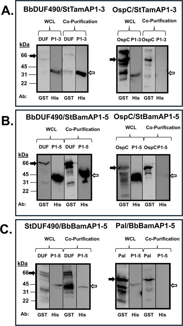 Fig 9