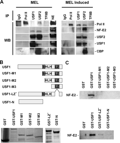 FIGURE 4.