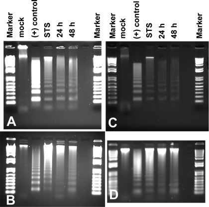 Fig. 8.