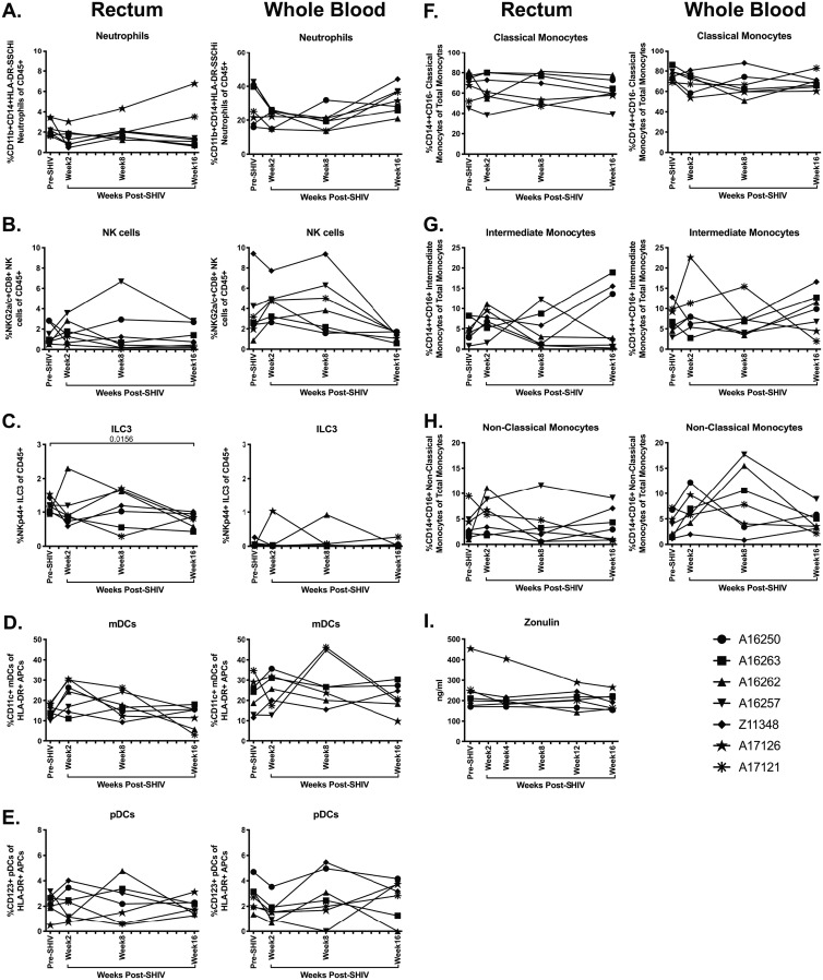 FIG 13