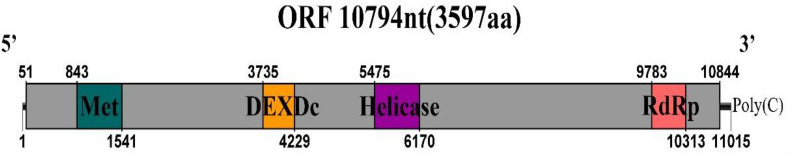 Figure 10