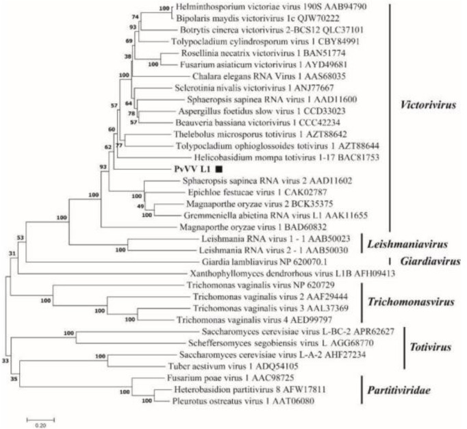 Figure 17