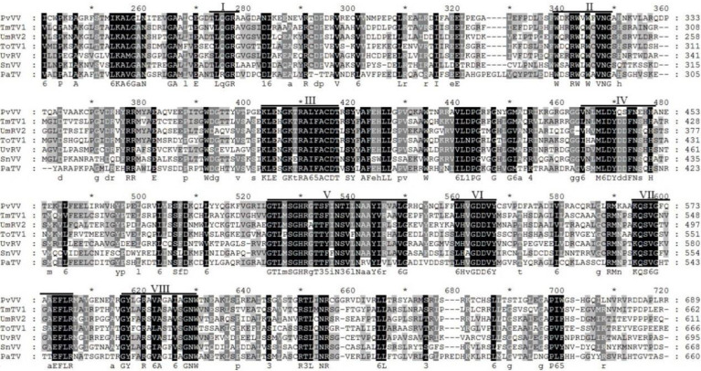 Figure 15