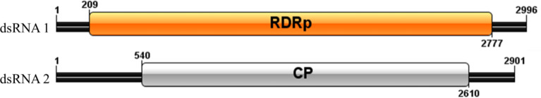 Figure 14