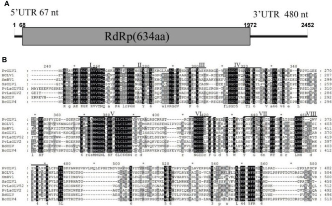 Figure 6