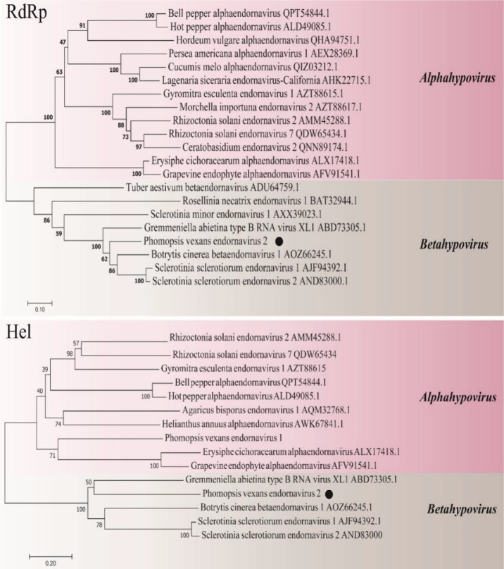 Figure 11