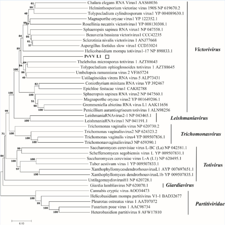 Figure 16