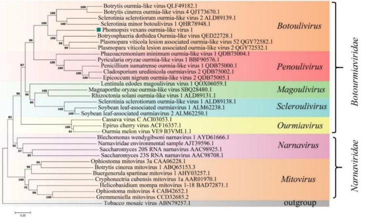 Figure 7