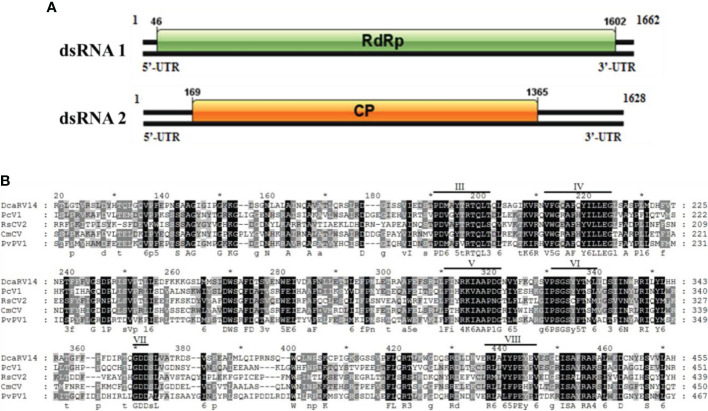 Figure 12