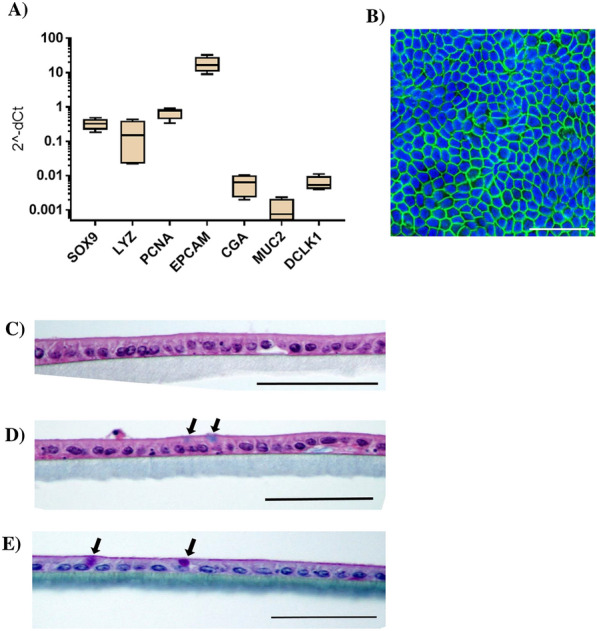 Figure 2