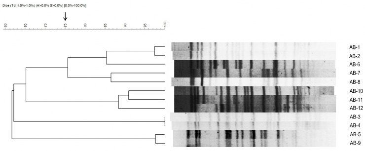 Fig 1