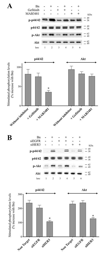 Figure 11.