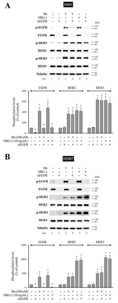 Figure 9.