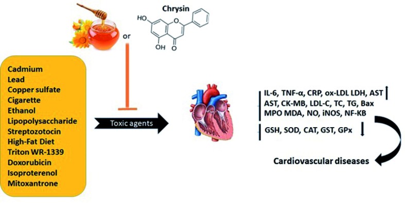 Figure 3.