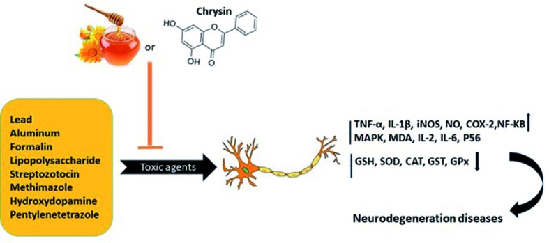 Figure 1.