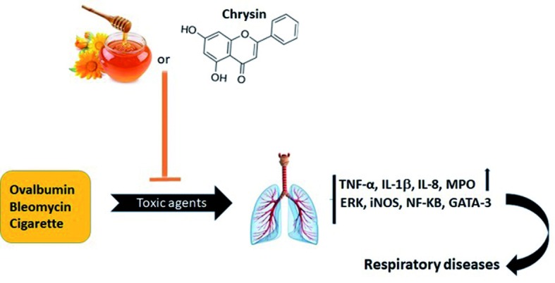 Figure 2.