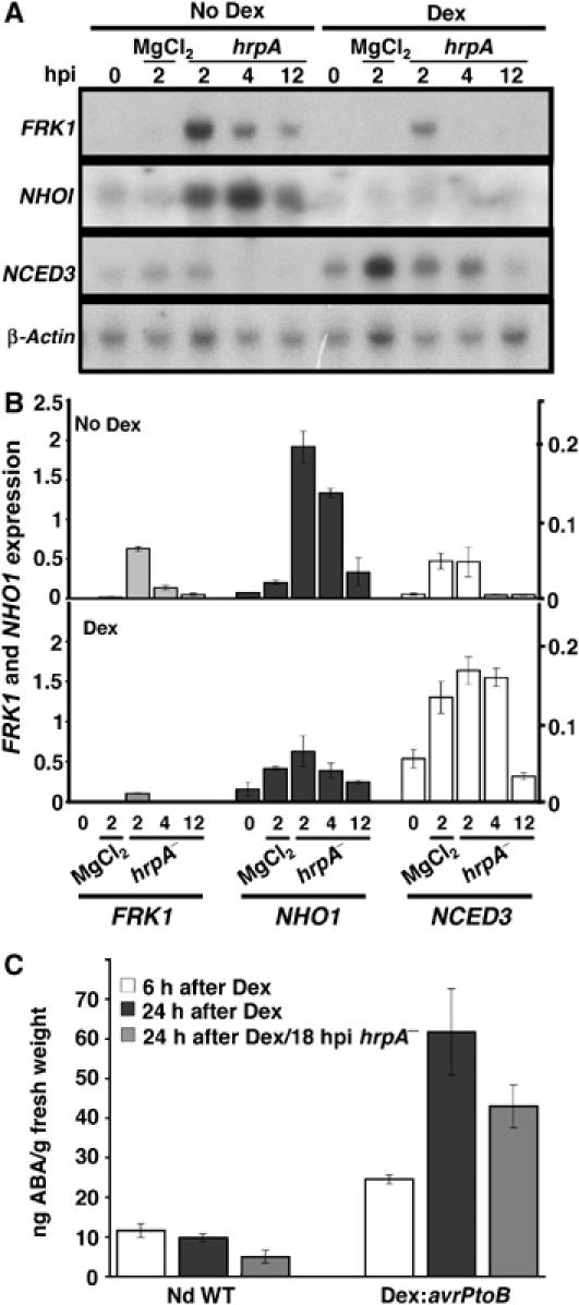 Figure 6