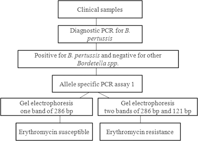 FIG 2