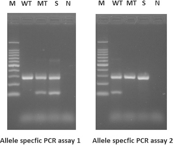 FIG 3