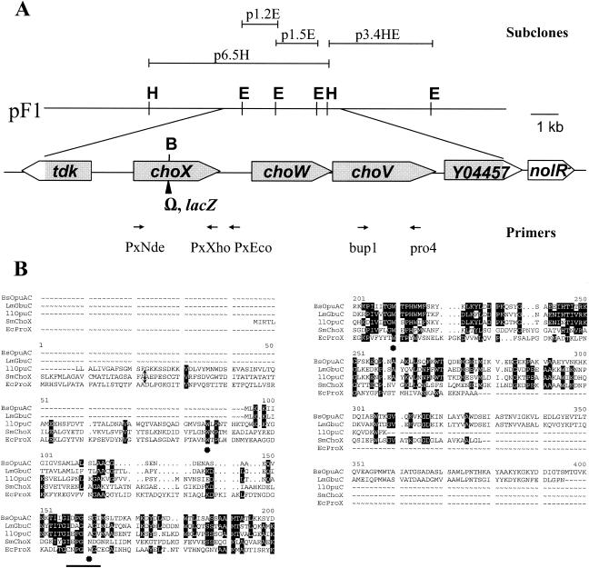 FIG. 1.